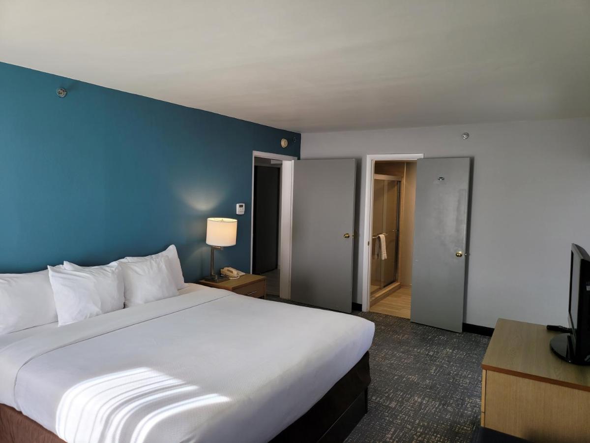 Comfort Inn & Suites Alexandria West מראה חיצוני תמונה