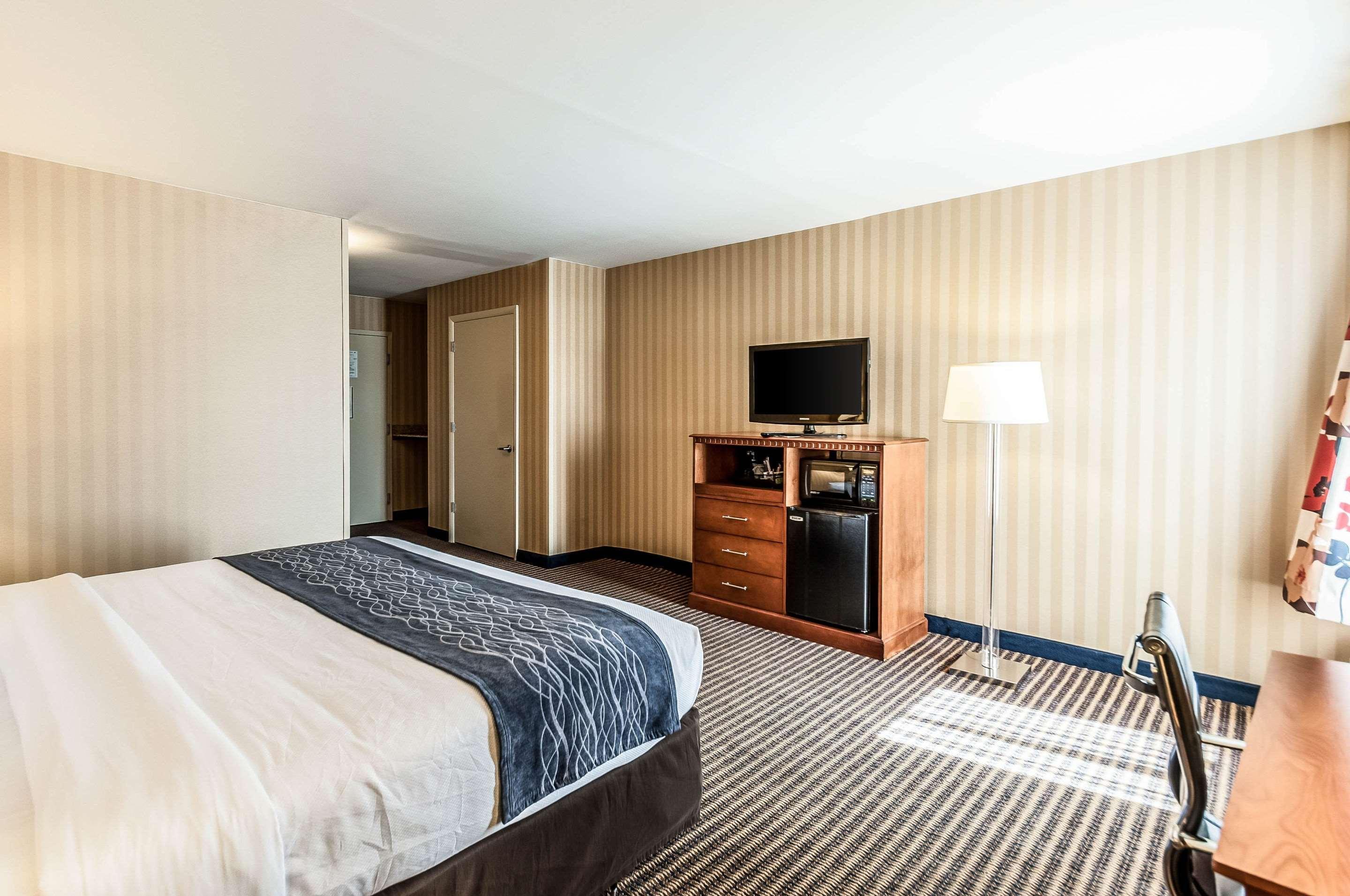 Comfort Inn & Suites Alexandria West מראה חיצוני תמונה